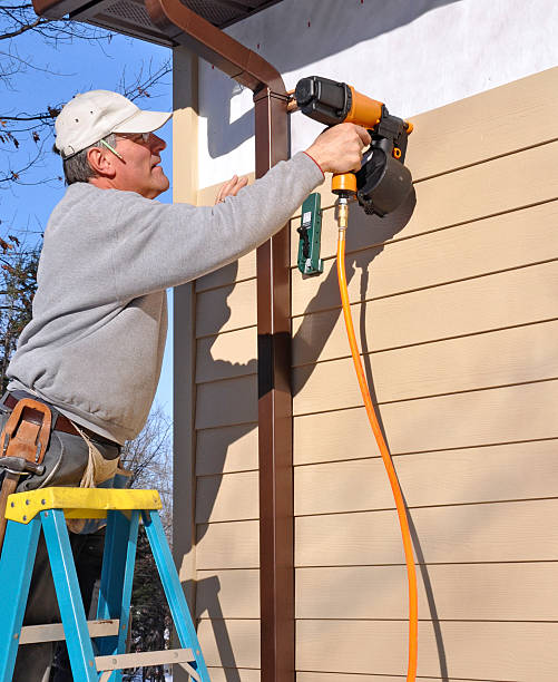 Best Stone Veneer Siding  in Port Barrington, IL